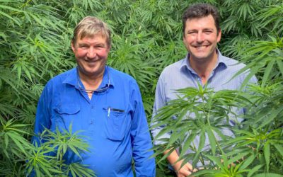 From near death motorcycle accident to running an Australian hemp production business, and ready to expand