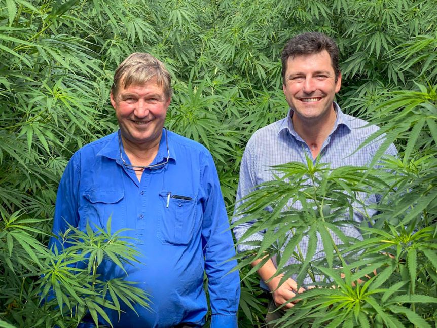 From near death motorcycle accident to running an Australian hemp production business, and ready to expand